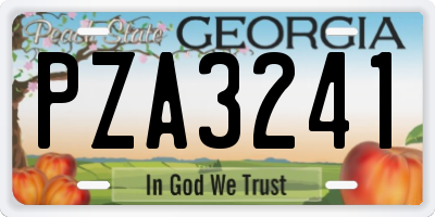 GA license plate PZA3241