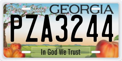 GA license plate PZA3244