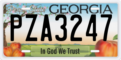GA license plate PZA3247
