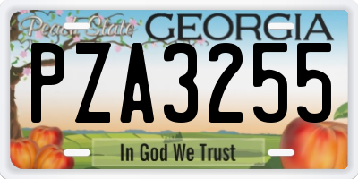 GA license plate PZA3255