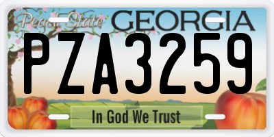 GA license plate PZA3259