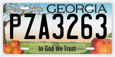 GA license plate PZA3263