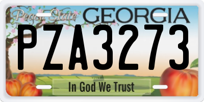 GA license plate PZA3273
