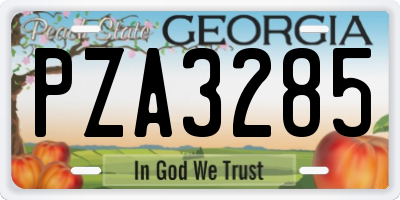 GA license plate PZA3285
