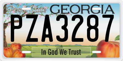 GA license plate PZA3287
