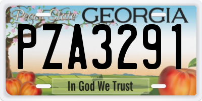 GA license plate PZA3291