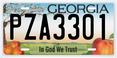 GA license plate PZA3301