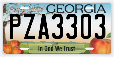 GA license plate PZA3303