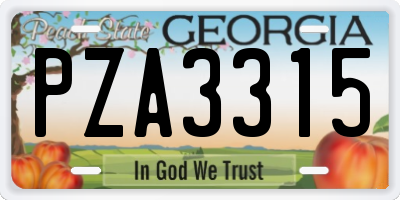 GA license plate PZA3315