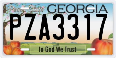 GA license plate PZA3317