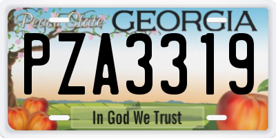 GA license plate PZA3319