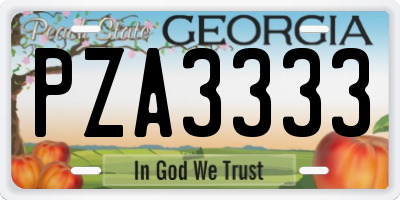 GA license plate PZA3333