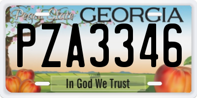 GA license plate PZA3346