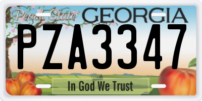 GA license plate PZA3347