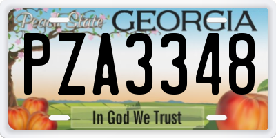 GA license plate PZA3348