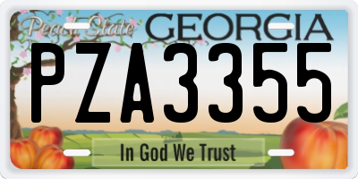 GA license plate PZA3355