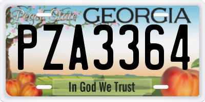 GA license plate PZA3364