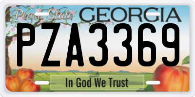 GA license plate PZA3369