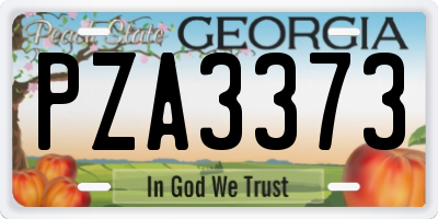 GA license plate PZA3373