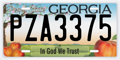 GA license plate PZA3375