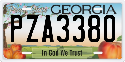 GA license plate PZA3380