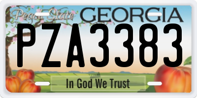GA license plate PZA3383
