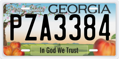GA license plate PZA3384