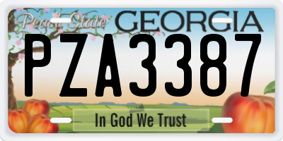 GA license plate PZA3387