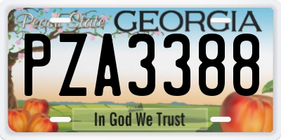 GA license plate PZA3388