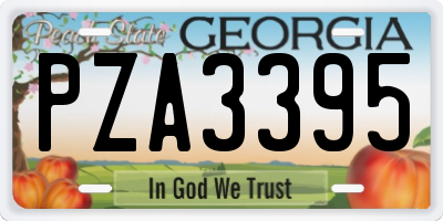 GA license plate PZA3395