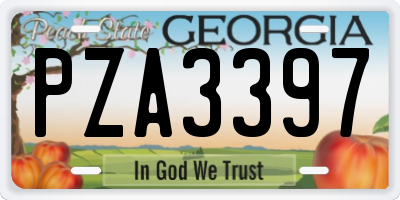 GA license plate PZA3397