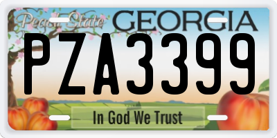GA license plate PZA3399