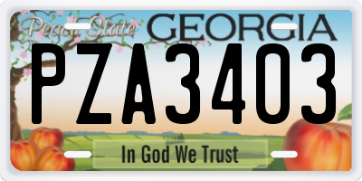 GA license plate PZA3403