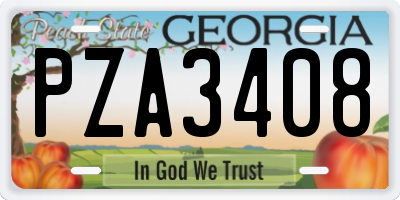 GA license plate PZA3408