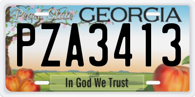 GA license plate PZA3413