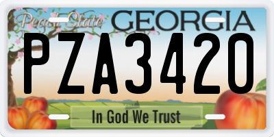 GA license plate PZA3420
