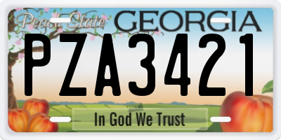 GA license plate PZA3421