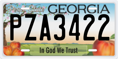 GA license plate PZA3422