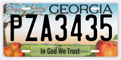 GA license plate PZA3435