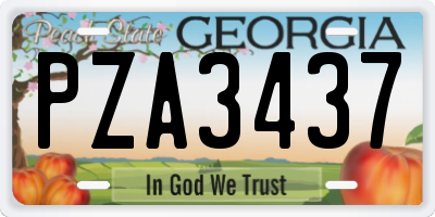 GA license plate PZA3437