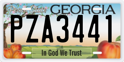 GA license plate PZA3441
