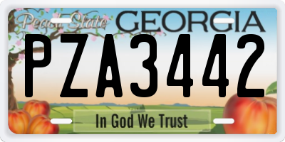 GA license plate PZA3442