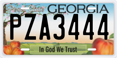 GA license plate PZA3444