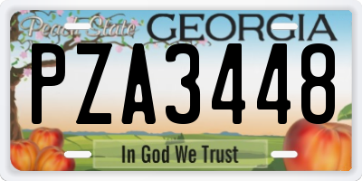 GA license plate PZA3448