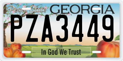 GA license plate PZA3449
