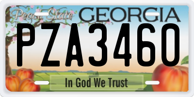 GA license plate PZA3460