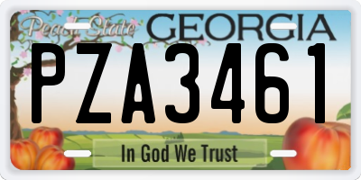 GA license plate PZA3461