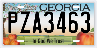 GA license plate PZA3463