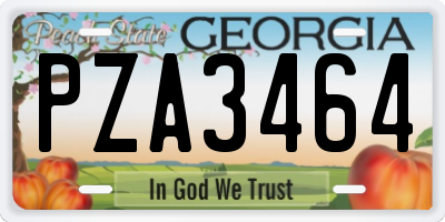 GA license plate PZA3464