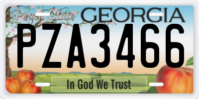 GA license plate PZA3466